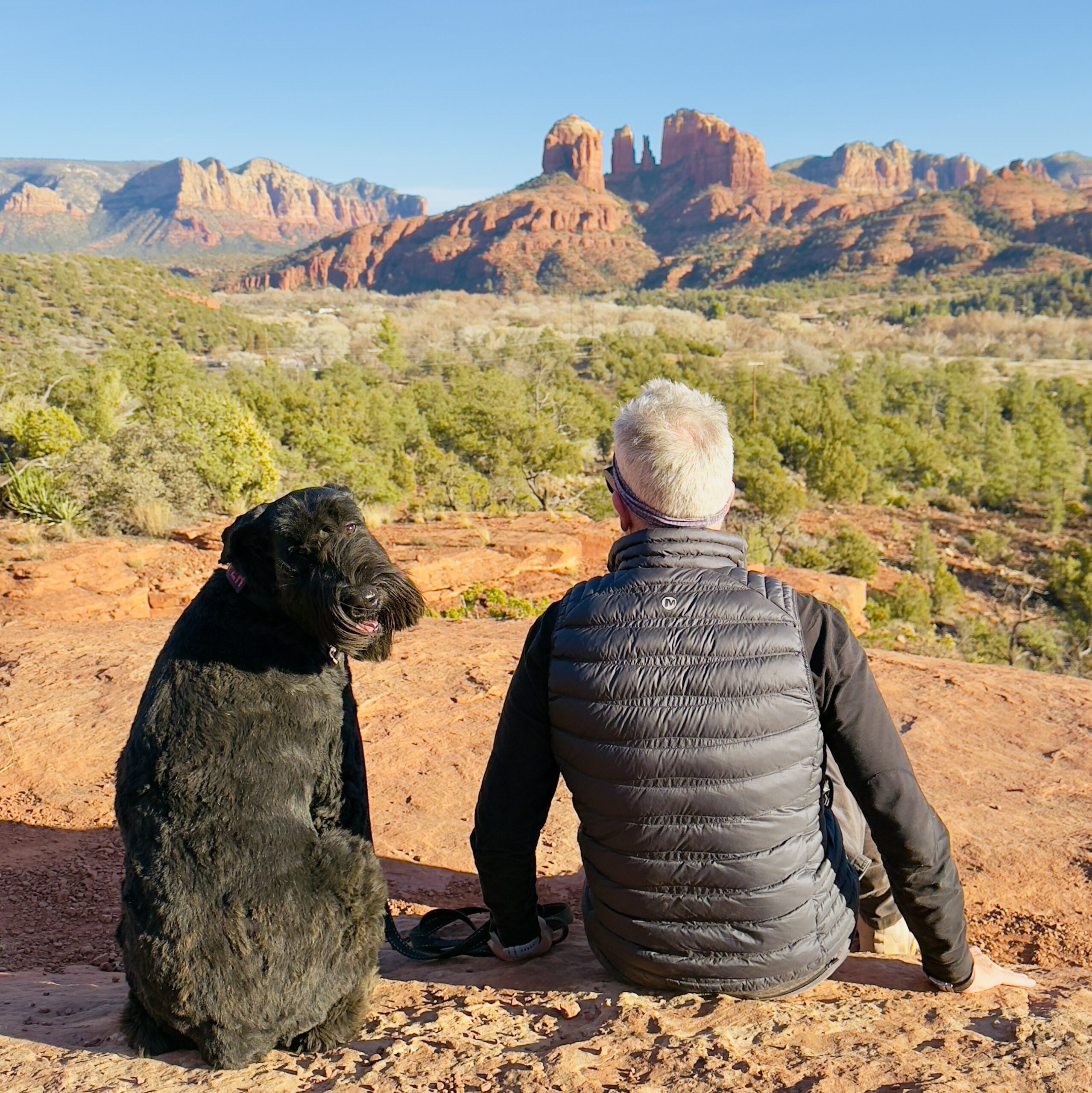 Dog Friendly Photo